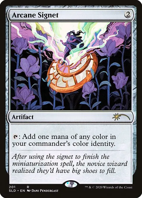 Arcane Signet SLD-201 Rare Englisch