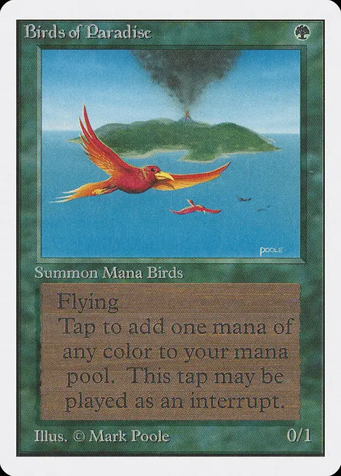Birds of Paradise 2ED- Rare Englisch
