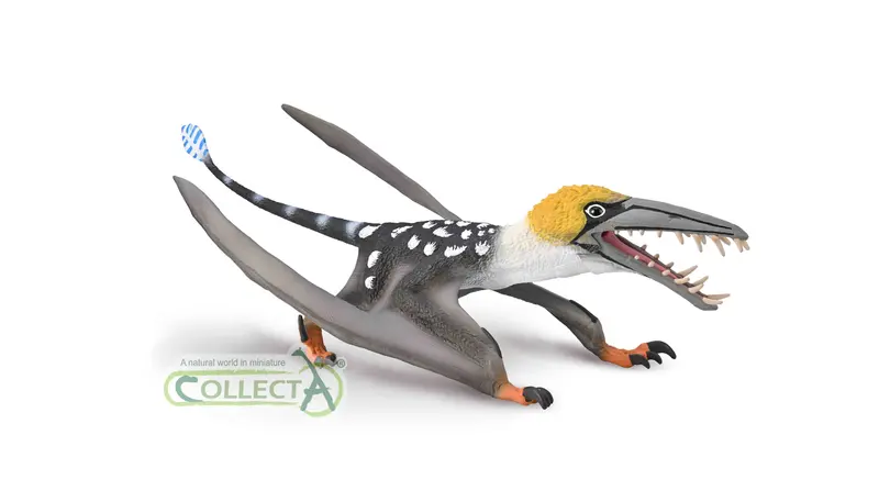CollectA - 80001 - DEARCGIATHANACH MIT BEWEGLICHEM KIEFER - 1