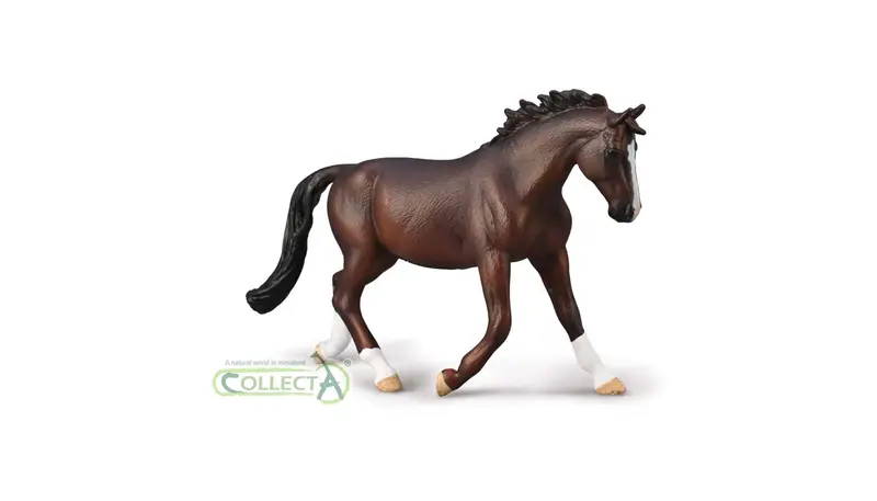 CollectA - 80006 - OLDENBURGER STUTENBUCHT (XL)