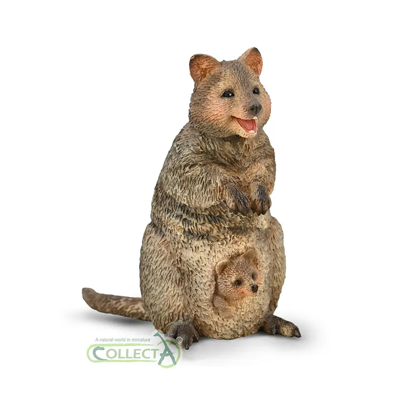 CollectA - 80063 - Quokka mit Joey (M)