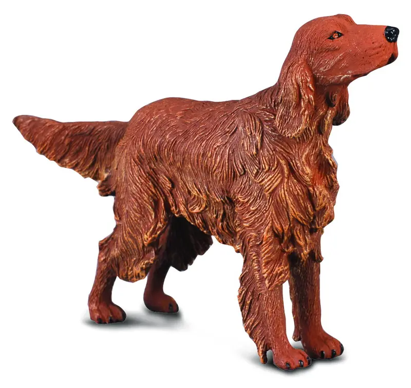 CollectA - 88068 - * IRISH RED SETTER (L)