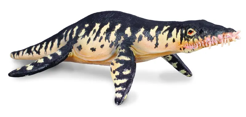 CollectA - 88237 - LIOPLEURODON (L)