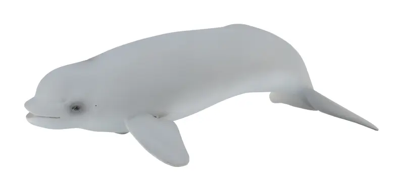 CollectA - 88617 - BELUGAKALB (M)