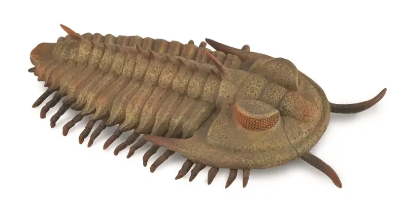 CollectA - 88906 - RIESEN-TRILOBIT (REDLICHIA REX TRILOBIT) (L)