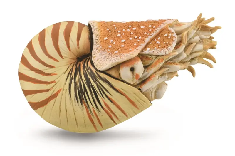 CollectA - 88907 - GEMEINES PERLBOOT (XL)