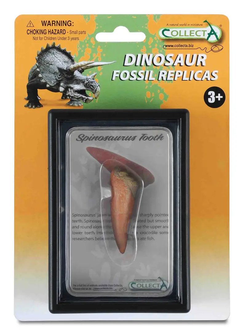 CollectA - 89290 - SPINOSAURUS ZAHN, Display-Kästchen