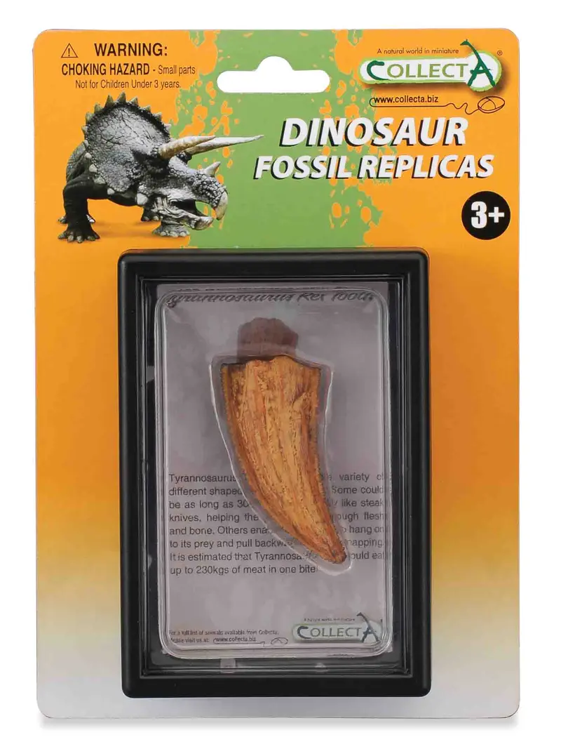 CollectA - 89358 - SEITENZAHN DES T-REX