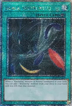 Schwarzer Wirbelwind (V.2) RA03-219 Quarter Century Secret Rare Near Mint Deutsch 1. Auflage