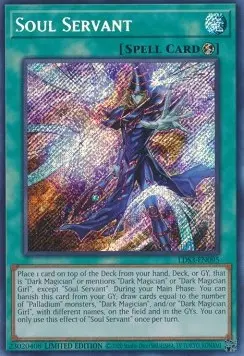 Soul Servant LDS3-EN095 Secret Rare Englisch